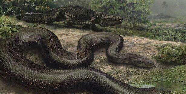 ������Զ�Ź�����ǿ������һλ? Զ����ǿ����ǰʮ��