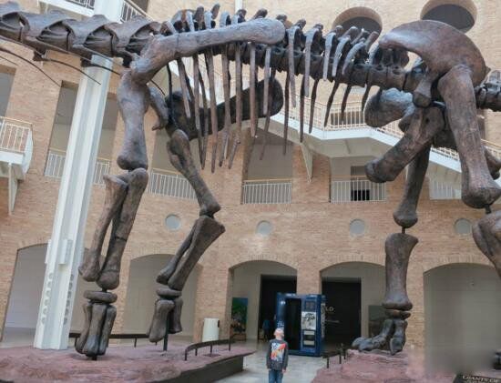 世界上远古怪兽最强的是哪一位? 远古最强怪兽前十名