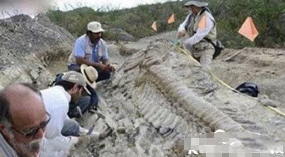 零六年真龙吃人照片怎么找不到了 06年真龙吃人照片被游客公开