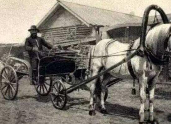 ���˾޾���ս����˹��Ů ��˹�վ���ʥ�˻�����ɮ