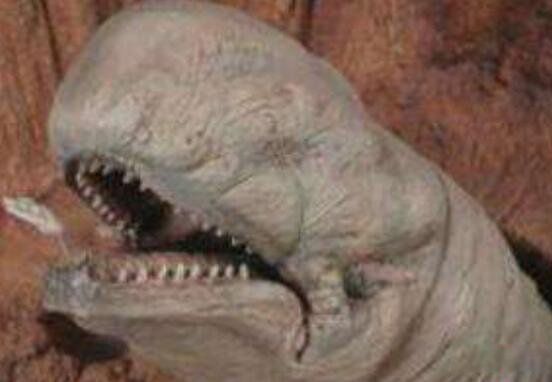 ������ʲô���� ����ս�澨��޴�����״����