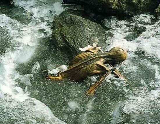 ��������Ư����ʬ�� ���˰´ĸ�ԭͼ����