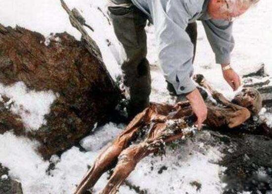 ��������Ư����ʬ�� ���˰´ĸ�ԭͼ����