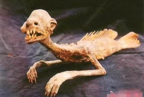 ��������Ļ����������ʲôʱ�� �������˾��Ǵ�˵�е������㣿