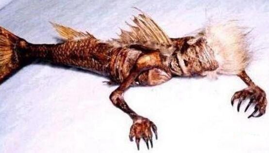 ��������Ļ����������ʲôʱ�� �������˾��Ǵ�˵�е������㣿