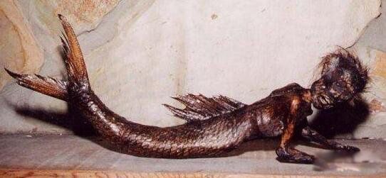 ��������Ļ����������ʲôʱ�� �������˾��Ǵ�˵�е������㣿