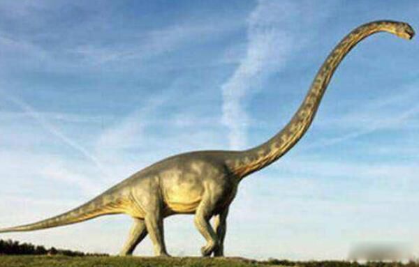 �������֮������Щ ����˫ǻ�������������Ŀ�����