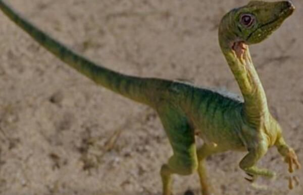 �������֮������Щ ����˫ǻ�������������Ŀ�����