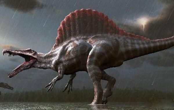 �������֮������Щ ����˫ǻ�������������Ŀ�����