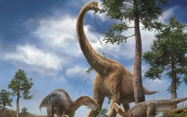 �������֮������Щ ����˫ǻ�������������Ŀ�����