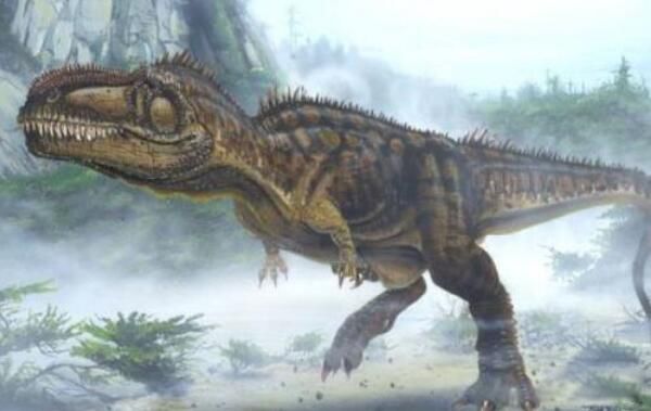 �������֮������Щ ����˫ǻ�������������Ŀ�����