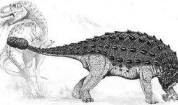 �������֮������Щ ����˫ǻ�������������Ŀ�����