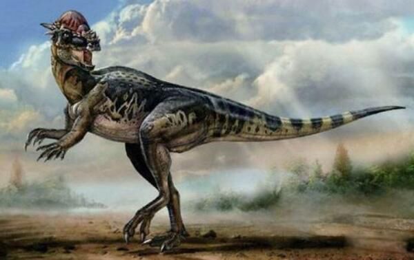 �������֮������Щ ����˫ǻ�������������Ŀ�����