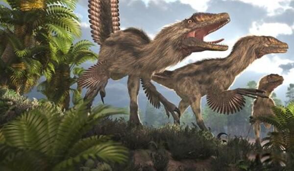 �������֮������Щ ����˫ǻ�������������Ŀ�����