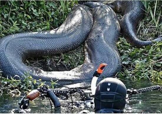 50�׳���������ͼƬ �����������Ļ���ҥ����