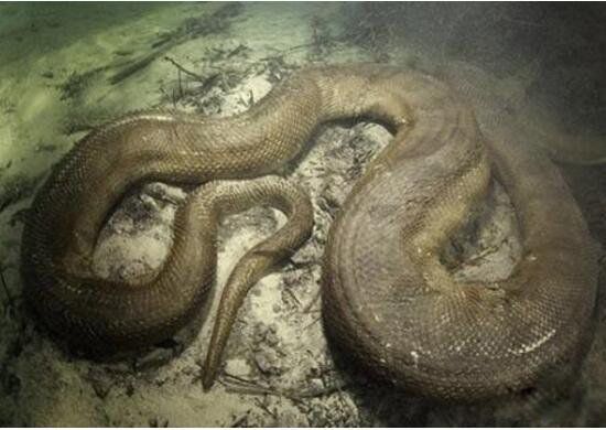 50�׳���������ͼƬ �����������Ļ���ҥ����