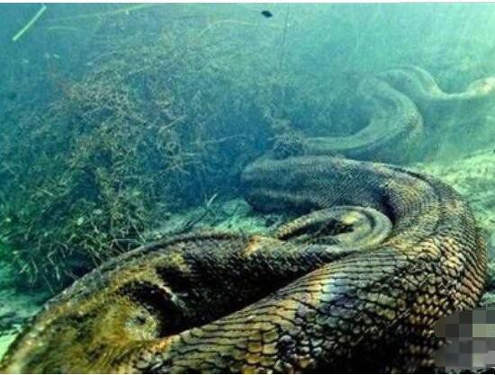 50�׳���������ͼƬ �����������Ļ���ҥ����