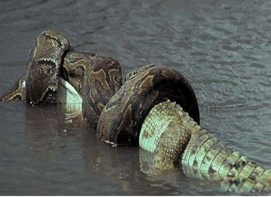 50�׳���������ͼƬ �����������Ļ���ҥ����