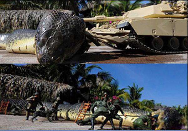 �캣����ͼƬ�����ж೤ �캣�����¼�ɱ��������