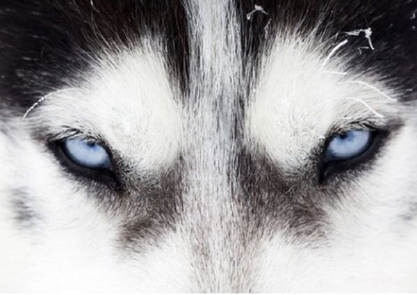 ������ǵ���˭��Ӯ ���ᵥֻצ�����������ϰٽ�