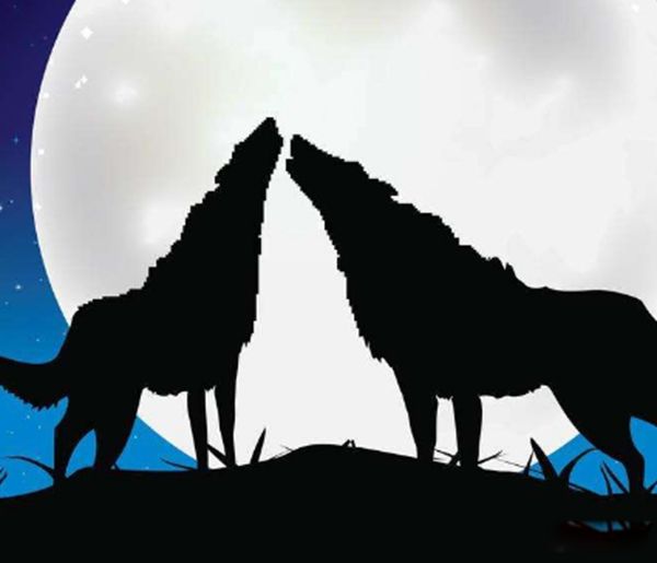 ������ǵ���˭��Ӯ ���ᵥֻצ�����������ϰٽ�