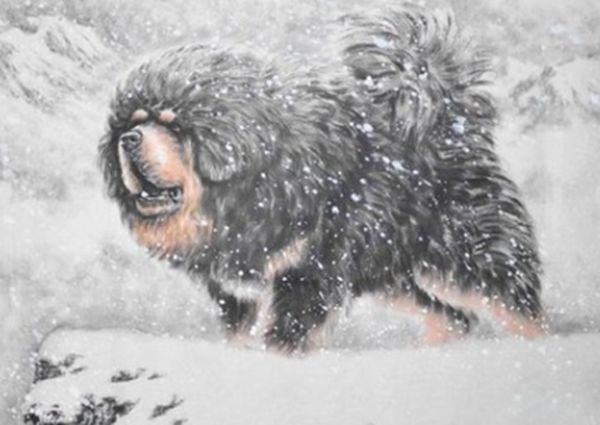 ������ǵ���˭��Ӯ ���ᵥֻצ�����������ϰٽ�