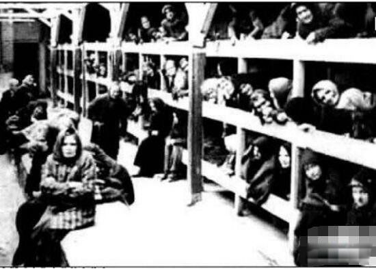 ο�����Ĺ������� ο������ʲô��˼