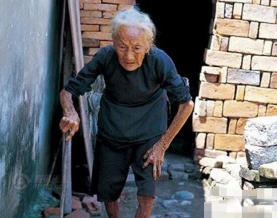 ο�����Ĺ������� ο������ʲô��˼