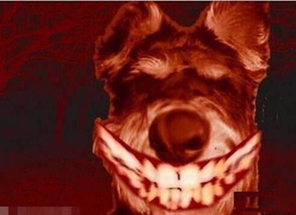 ΢Ц���¼���ļٵ� �ֲ���΢Ц�������˶�����