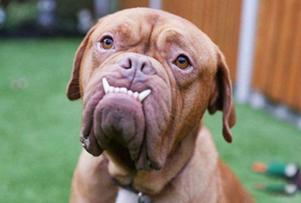 ΢Ц���¼���ļٵ� �ֲ���΢Ц�������˶�����