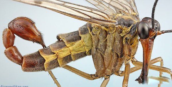 ��������ֲ����������� ���ʮ����������Щ