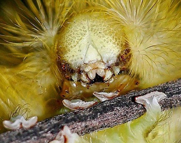 ��������ֲ����������� ���ʮ����������Щ