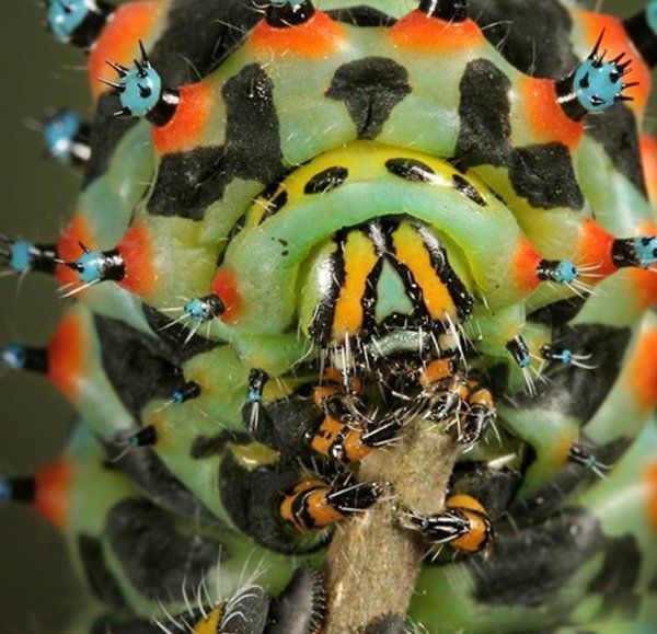 ��������ֲ����������� ���ʮ����������Щ