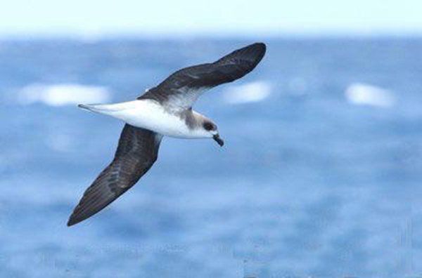 �Ѿ�����ɹ���������� �����������ı��ٴη���