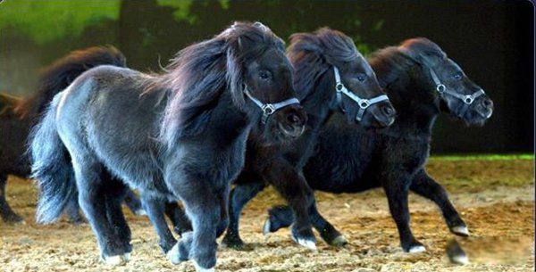 �Ѿ�����ɹ���������� �����������ı��ٴη���