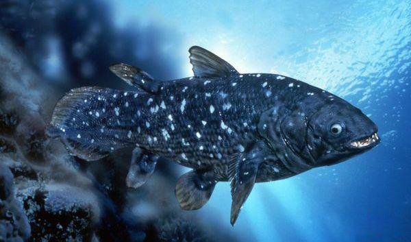 �Ѿ�����ɹ���������� �����������ı��ٴη���