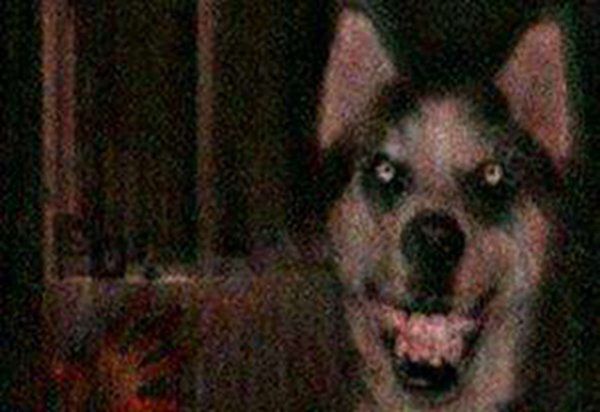 ΢Ц���¼���ļٵ� �ֲ���΢Ц�������˶�����