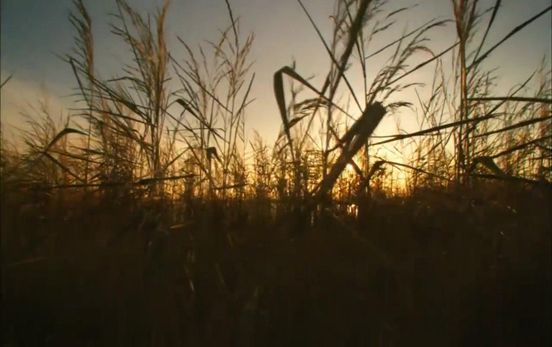 ���������˯��10����˯ Ч����õĴ��������а�ǰʮ��