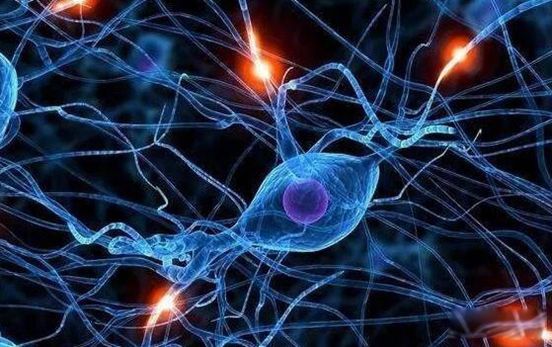 ���������˯��10����˯ Ч����õĴ��������а�ǰʮ��