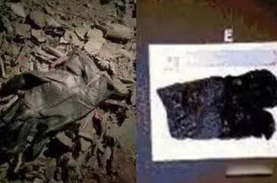 ����ɭɱ�ް�����˭������ ��������ɭɱ�ް��ķ�������