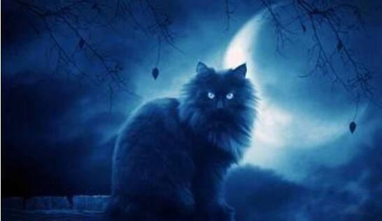 �����ѵĿֲ��ʻ�ͼƬ ������Ƭ��ͺ����