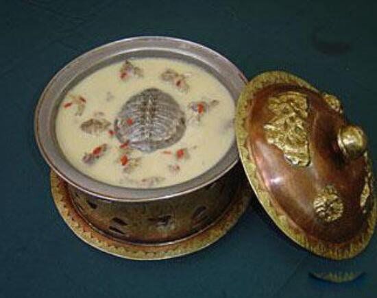 铁板甲鱼的残忍视频图片 铁板甲鱼为什么是禁菜