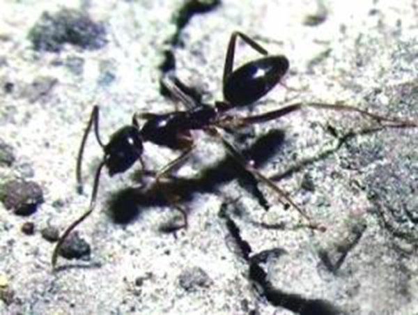 �Ѿ�����ɹ���������� �����������ı��ٴη���