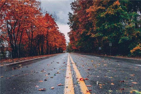 2099����������� ��ѧ�Ҷ�2099��������ӵ�Ԥ��