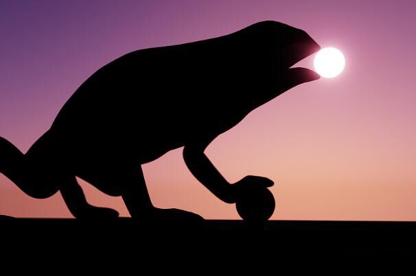 �칷ʳ����ʲô�������� ��ʳ������ܺͻʵ��й�ϵ