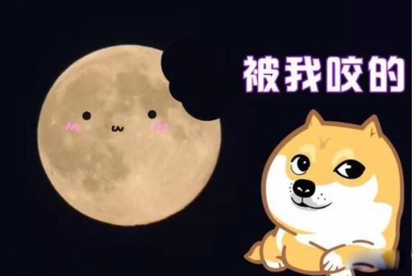 �칷ʳ����ʲô�������� ��ʳ������ܺͻʵ��й�ϵ