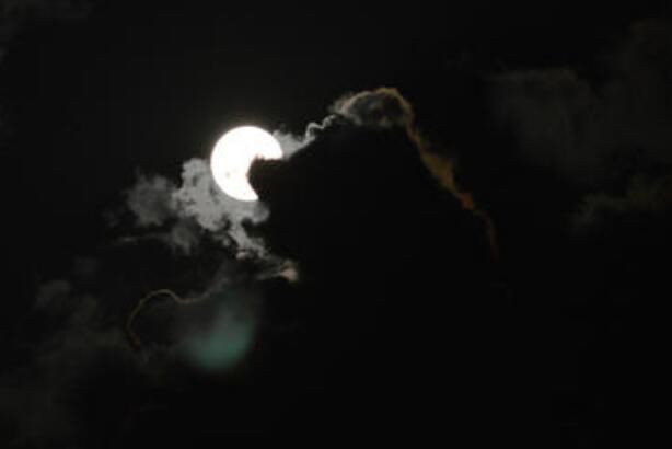 �칷ʳ����ʲô�������� ��ʳ������ܺͻʵ��й�ϵ