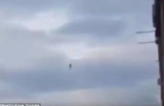 �����ĵ������� �����Ͽյİ���������ô����