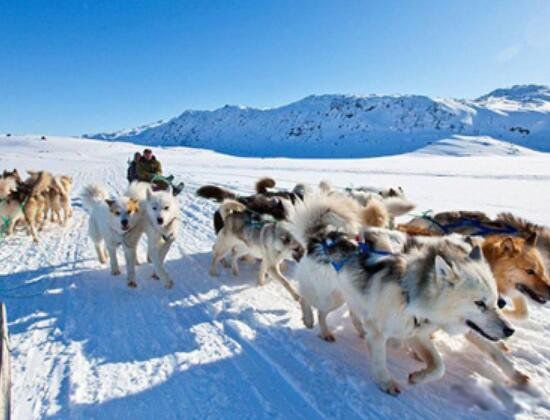 ��˹��Ħ�����ڻ����� ��˹��Ħ����ʧ�¼�����ô����