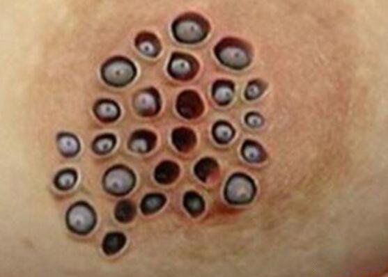 ֥��Ů����ͼƬ�ֲ� ʮ���ּ������ѵ�֥��Ů������